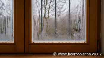 Condensation will stop coming back if you use 1 kitchen item professional cleaner recommends