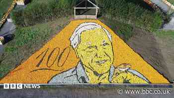 Attenborough pumpkin mosaic breaks world record