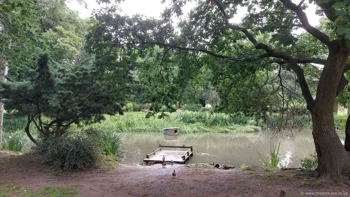 How you can have your say on future of Ellesmere Port's Whitby Park