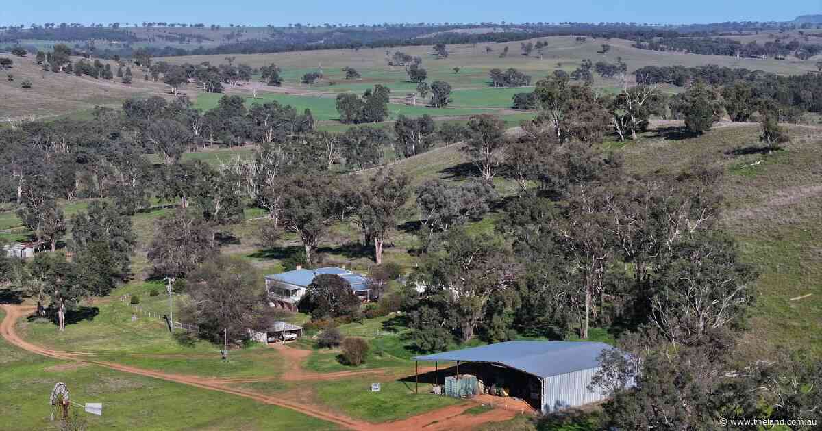 Naradale offers excellent access for the movement of livestock and grain