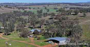 Naradale offers excellent access for the movement of livestock and grain