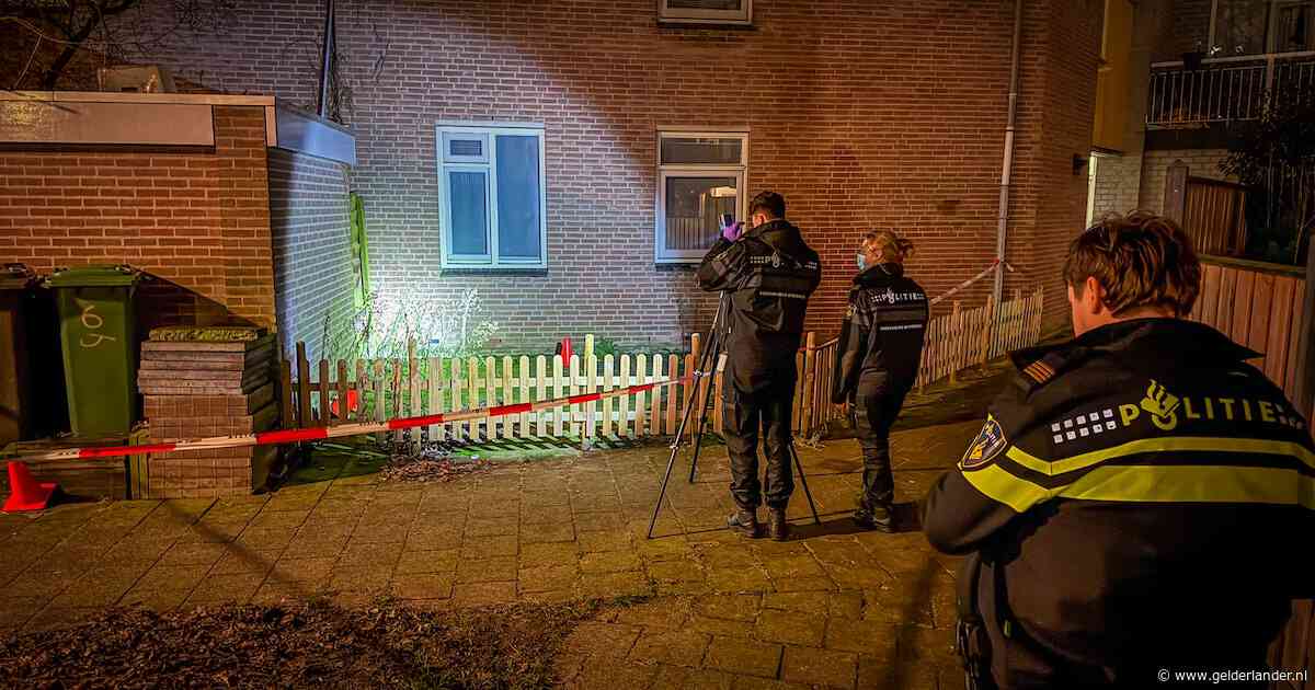 Arnhemmers van 20 en 22 jaar krijgen celstraf voor schietpartij bij Arnhems winkelcentrum