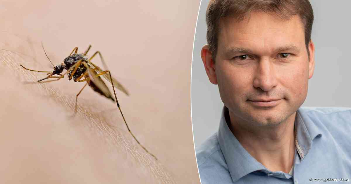 Expert waarschuwde tien jaar geleden al voor het westnijlvirus, nu wil hij maatregelen zoals verplichte horren