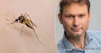 Expert waarschuwde tien jaar geleden al voor het westnijlvirus, nu wil hij maatregelen zoals verplichte horren