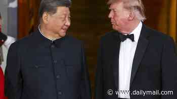 Inside Trump's glitzy state dinner with China's Xi attended by tech titans and DC's elite as details emerge about talks between two world leaders