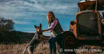 From blog to the bush: Shanna's driving awareness that it's #OK2SAYNO to booze