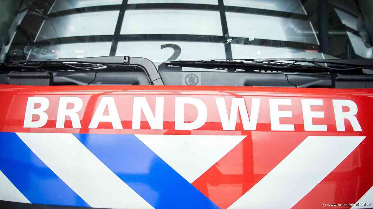 Schipper vaart tegen pijler van brug en slaat alarm, brandweer rukt uit
