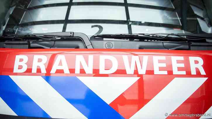Schipper vaart tegen pijler van brug en slaat alarm, brandweer rukt uit