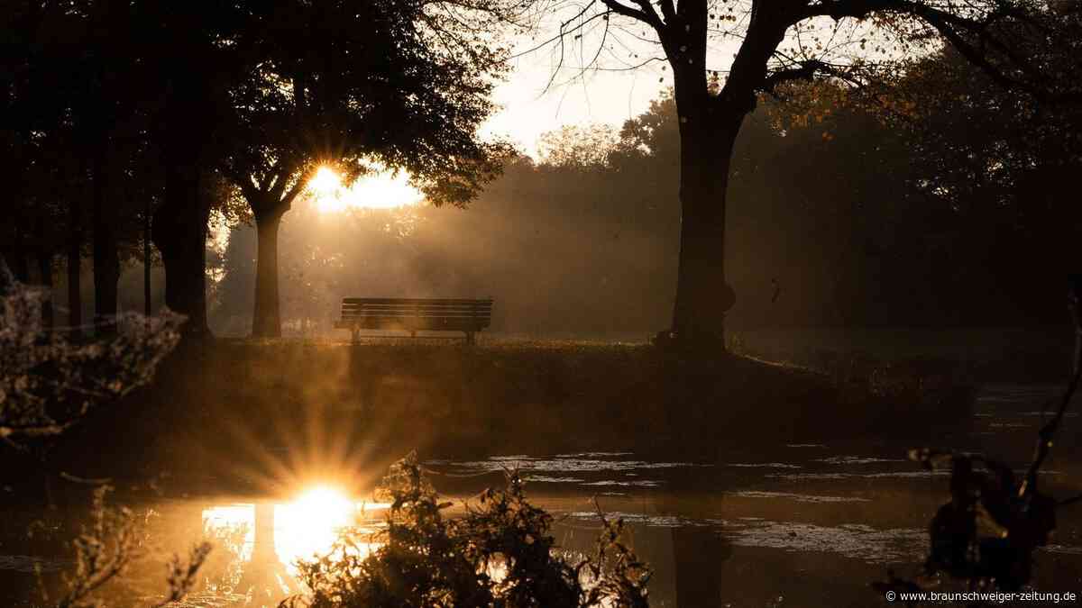 Vitamin D: Wann Speicher leer wird – Arzt gibt wichtigen Rat für Einnahme