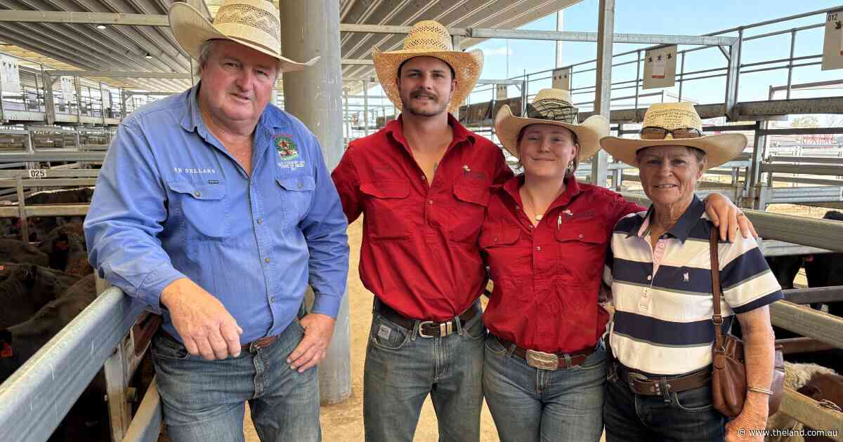 Isolated storms spark restocker confidence lift at Tamworth store sale