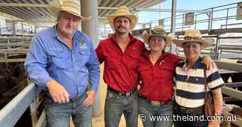 Isolated storms spark restocker confidence lift at Tamworth store sale