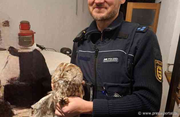 POL-OG: Baden-Baden, Ebersteinburg - Einige Tage Ruhe und Pflege für Waldkauz angesagt - Mit guten Nachrichten ins Wochenende
