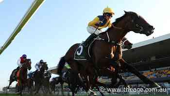 Keen eye confident Warwoven set to stamp stud potential in Golden Rose