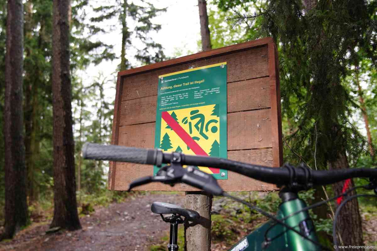 Illegaler Mountainbike-Trail in Adelsberg weggebaggert: Das Katz-und-Maus-Spiel von Bikern und Sachsenforst