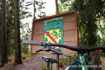 Illegaler Mountainbike-Trail in Adelsberg weggebaggert: Das Katz-und-Maus-Spiel von Bikern und Sachsenforst