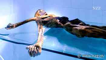 Vor 35 Jahren wurde Ötzi entdeckt – sein Tod ist noch heute ein Cold Case