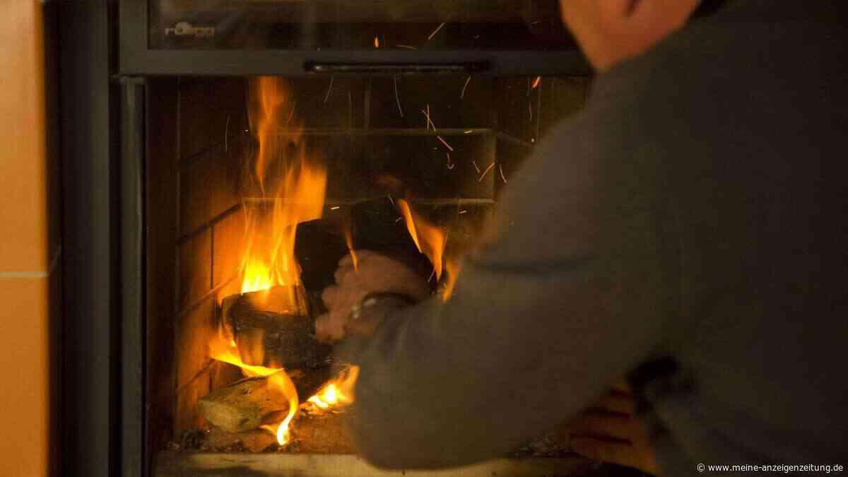 Brennholz-Qualität sofort prüfen mit diesem genialen Feuchtigkeitstest