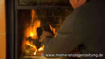 Brennholz-Qualität sofort prüfen mit diesem genialen Feuchtigkeitstest