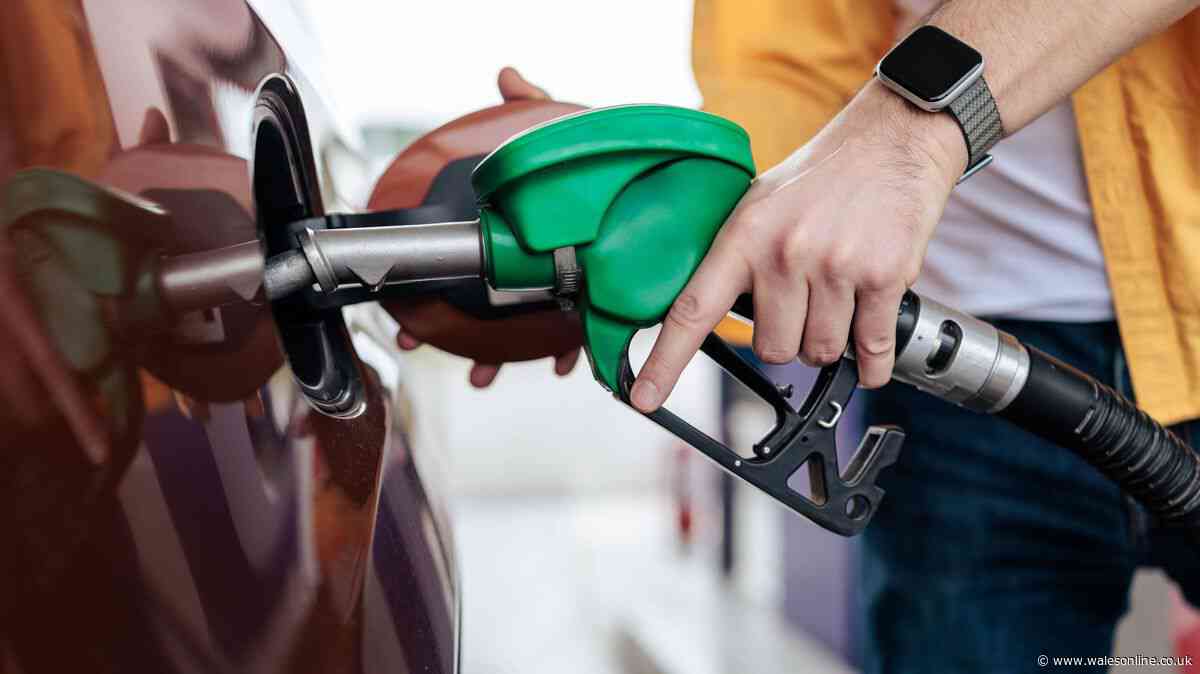 Expert shares the 'cheapest' time for petrol and diesel drivers to fill up this week