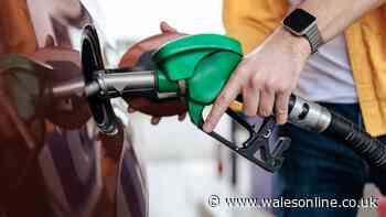 Expert shares the 'cheapest' time for petrol and diesel drivers to fill up this week