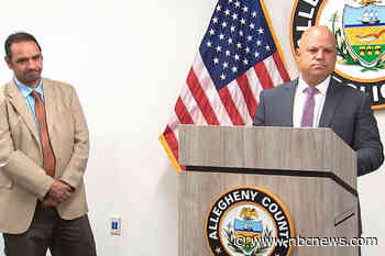 Pittsburgh pediatric doctor fatally stabbed and wife wounded in attack as they slept