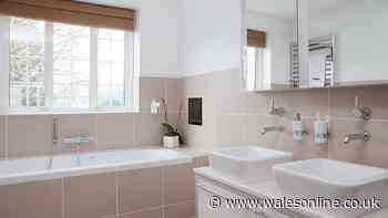 Clear bathroom and shower limescale for under £1 with easy fix