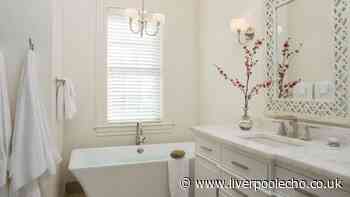 Clean stubborn bathroom limescale for under £1 for sparkling toilets