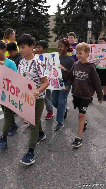 Traffic tips for keeping kids safe around Thunder Bay, Ont., schools