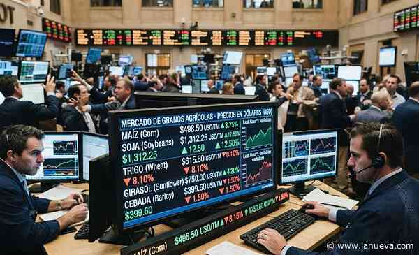 Mercado de granos: ¿de qué manera se puede sortear la incertidumbre de precios?