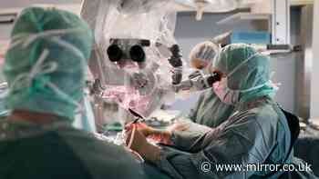 Rapid new test can slash time of brain tumour diagnosis from weeks to hours