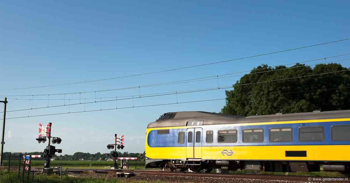 Urenlang geen treinen tussen Den Bosch en Geldermalsen door aanrijding, NS zet ‘zeer beperkt’ bussen in