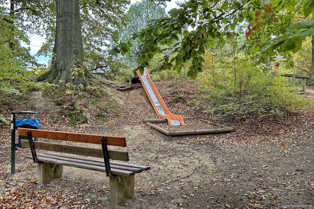 Reinsdorfer Park in Plauen: Warum dort Bäume gefällt werden müssen