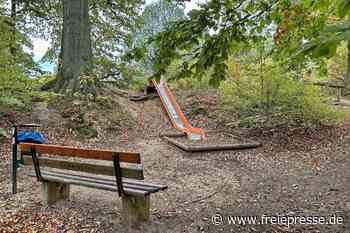 Reinsdorfer Park in Plauen: Warum dort Bäume gefällt werden müssen