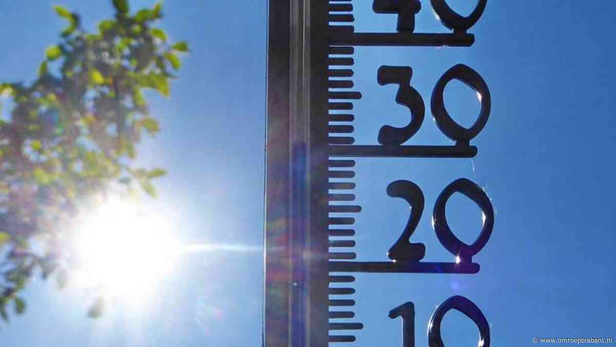 De zomer keert weer terug: volgende week richting de 30 graden