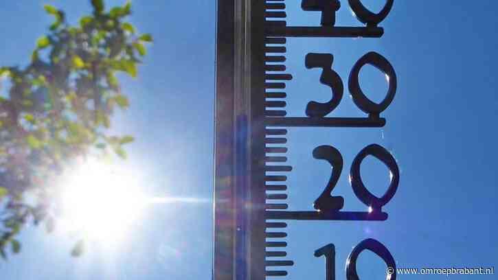 De zomer keert weer terug: volgende week richting de 30 graden