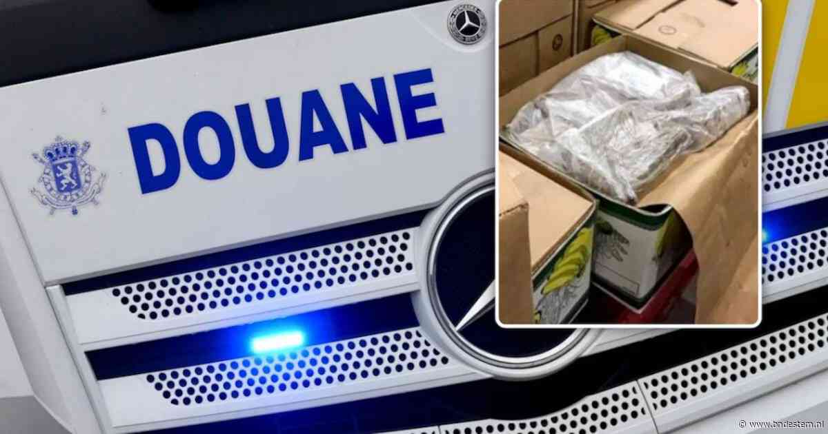 Drie ladingen cocaïne onderschept in haven Antwerpen, drugs verstopt tussen ananassen en bananen