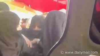 Afghan women are rounded up and dragged into a van by female Taliban morality police in latest brutal crackdown