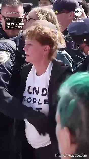 Susan Sarandon among protesters detained outside UN