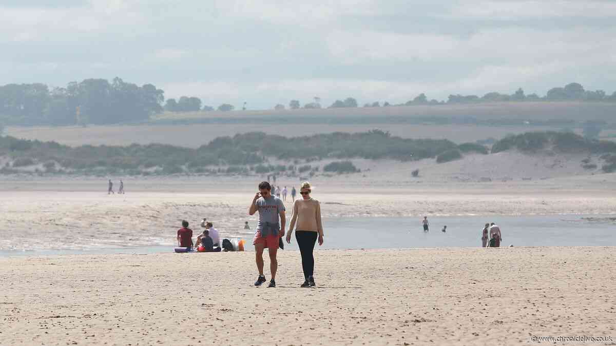 North East beach in the 'most picturesque' location named UK's most dog friendly for 2026