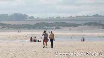 North East beach in the 'most picturesque' location named UK's most dog friendly for 2026