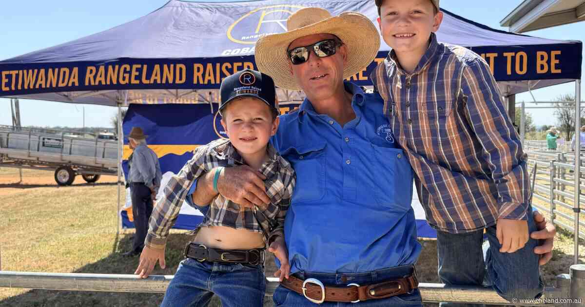 Performance data drives top-price at Etiwanda Dorper sale at Cobar