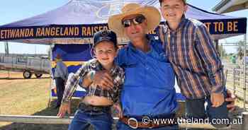 Performance data drives top-price at Etiwanda Dorper sale at Cobar