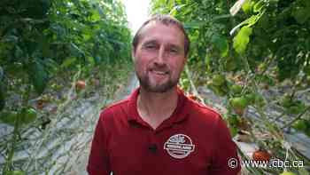 Growers tout 'major opportunity' to expand greenhouse food production in Manitoba