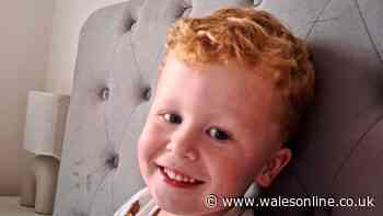 Noah Woods, 3, found in lake had 'run off' from playground 'through gap in fence'