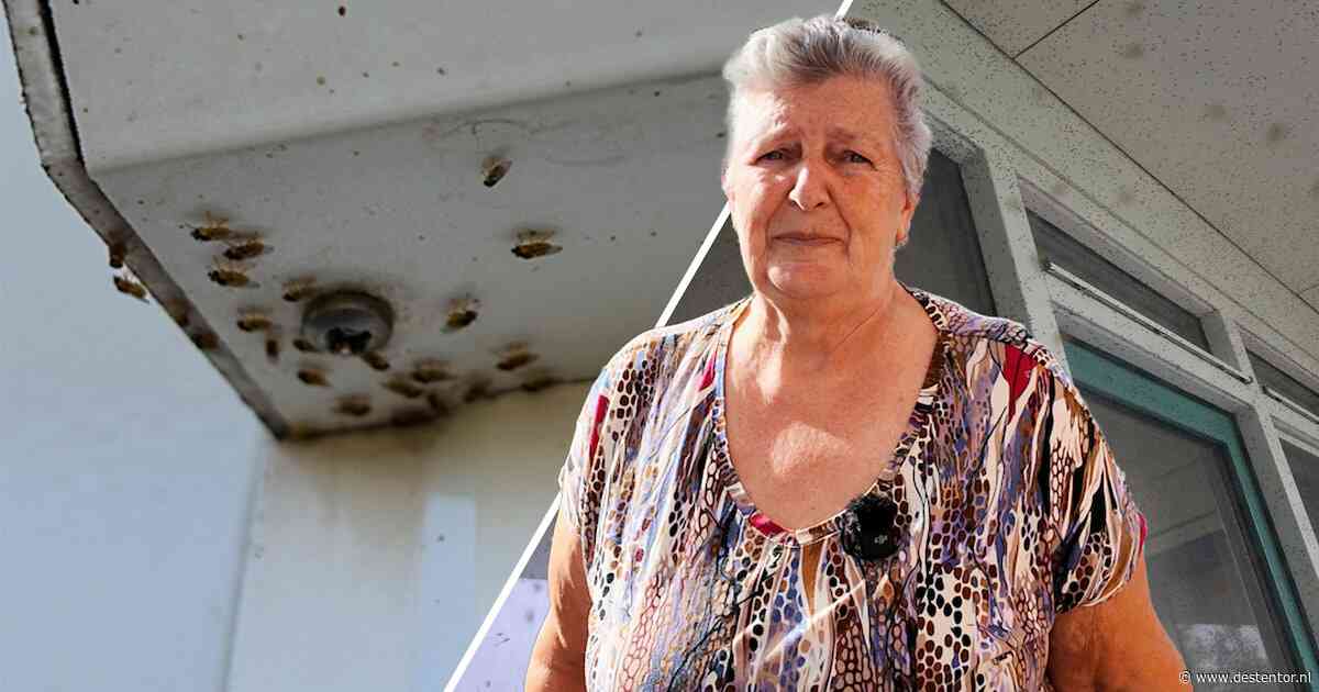 KIJK | Duizenden vliegen teisteren dit appartementencomplex al tien jaar