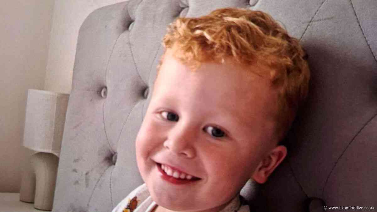 Noah Woods, 3, had 'run off' from playground 'through gap in fence' before lake tragedy