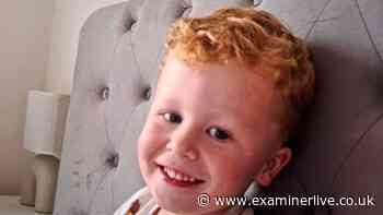 Noah Woods, 3, had 'run off' from playground 'through gap in fence' before lake tragedy