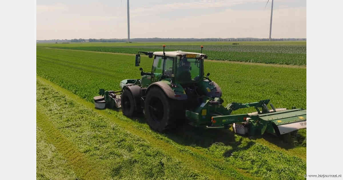 Eerste resultaten van zeewierproef op biologisch melkveebedrijf positief
