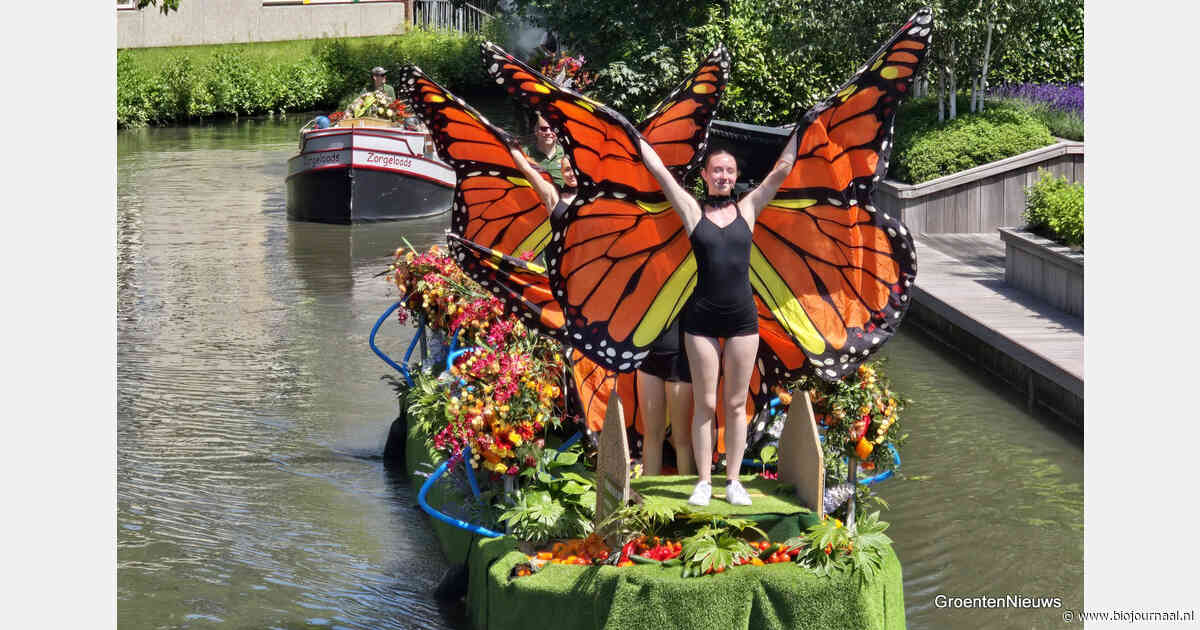 Delft houdt subsidie Varend Corso ondanks eis om biologische bloemen