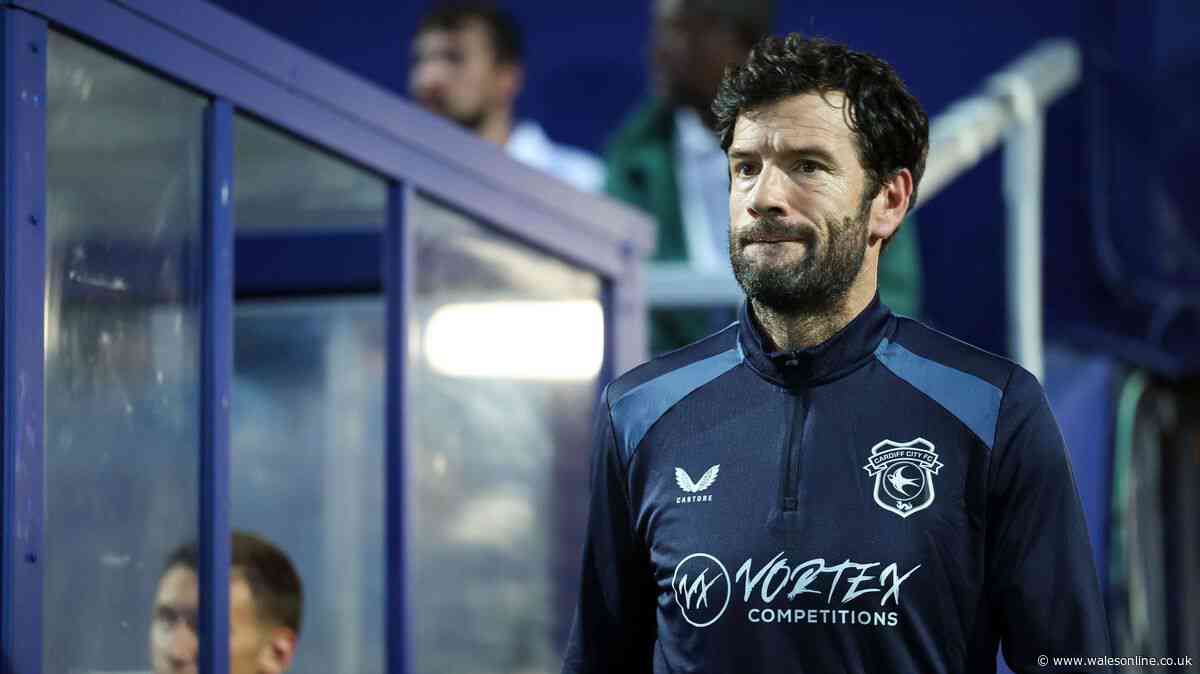 'Significant work' under way for Cardiff City's January plan as priorities clear